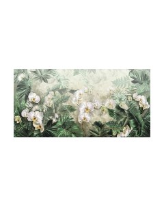 Фотообои листовые Citydecor Знойные тропики 11