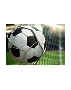 Фотообои листовые Citydecor Детская 379