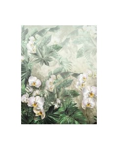 Фотообои листовые Citydecor Знойные тропики 11