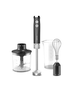 Блендер погружной Centek CT-1349