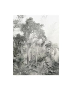 Фотообои листовые Citydecor Знойные тропики 14