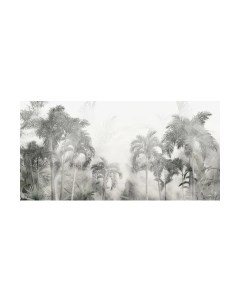 Фотообои листовые Citydecor Знойные тропики 14