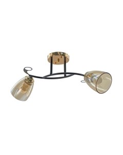 Потолочный светильник Aitin-Pro НПБ 02-2x60-101 / A4088/2 Aitin-pro