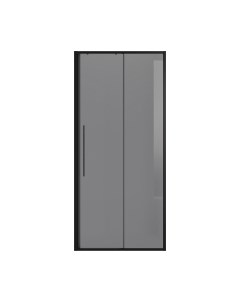 Душевая дверь Niagara NG-85-10TB 100x195