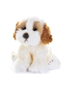 Мягкая игрушка Maxitoys Собака Кавашон / MT-TS112308-25