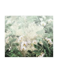 Фотообои листовые Citydecor Знойные тропики 11