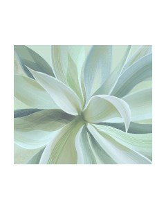 Фотообои листовые Citydecor Sunset 43