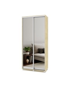 Шкаф-купе Роланд Р403 Modern