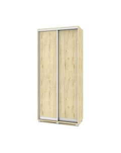 Шкаф-купе Роланд Р401 Modern