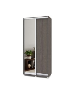 Шкаф-купе Роланд Р402 Modern