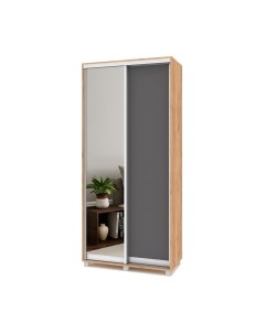 Шкаф-купе Роланд Р402 Modern