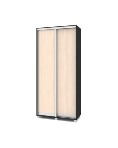 Шкаф-купе Роланд Р401 Modern