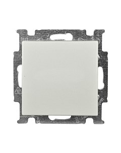 Выключатель ABB Basic 55 1012-0-2189 Abb