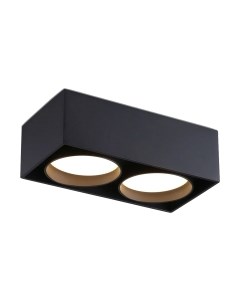 Точечный светильник Ambrella TN70875/2 BK