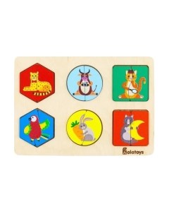 Сортер Alatoys СОР51