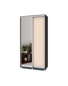 Шкаф-купе Роланд Р412 Modern