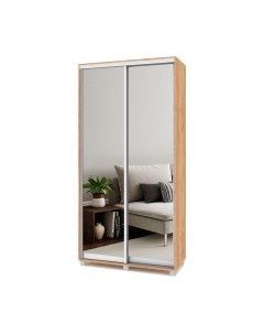 Шкаф-купе Роланд Р413 Modern