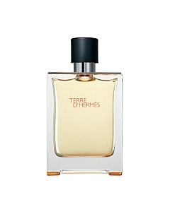 Туалетная вода Terre D`hermes for Men Hermes