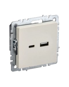 Розетка IEK Brite BR-U22-018-K10 Iek