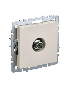 Розетка IEK BR-A10-O-K10 Iek