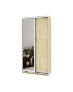 Шкаф-купе Роланд Р412 Modern