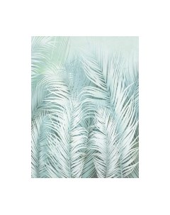 Фотообои листовые Citydecor Пальмовые листья Air 65