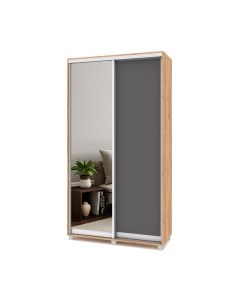 Шкаф-купе Роланд Р422 Modern