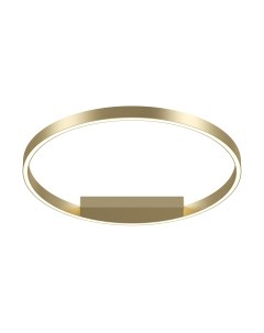 Потолочный светильник Maytoni Rim MOD058CL-L35BSK