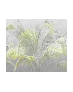 Фотообои листовые Citydecor Знойные тропики 9