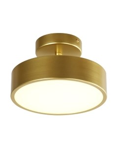 Потолочный светильник FAVOURITE 3059-2P Favourite