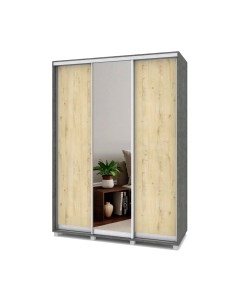 Шкаф-купе Роланд Р662 Modern