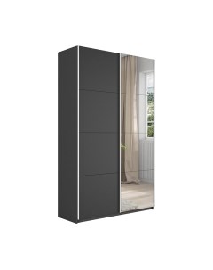 Шкаф-купе Траст СШК 2.120.60-11.13 2-х дверный Трия
