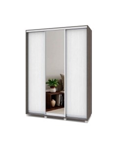 Шкаф-купе Роланд Р662 Modern