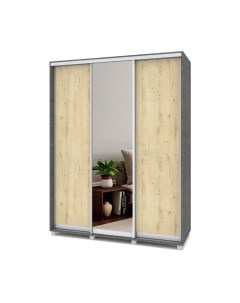 Шкаф-купе Роланд Р672 Modern