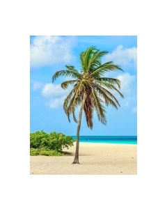 Фотообои листовые Citydecor Море и Водопады 46