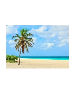 Фотообои листовые Citydecor Море и Водопады 46