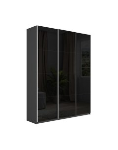 Шкаф-купе Траст СШК 2.210.70-11.11.11 3-х дверный Трия