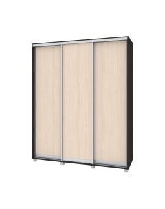 Шкаф-купе Роланд Р681 Modern