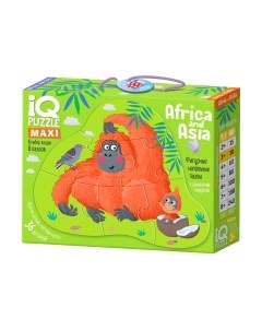 Развивающая игра Айрис-пресс IQ напольный. Африка и Азия 3+ / 9785811284146