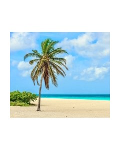 Фотообои листовые Citydecor Море и Водопады 46