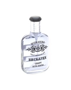 Туалетная вода Positive Parfum Wiskaring Вискарик Спорт Кто Кого Positive parfum
