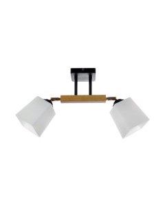 Потолочный светильник НПБ 02-2x60-101 / N4720/2 Aitin-pro