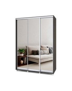 Шкаф-купе Роланд Р663 Modern