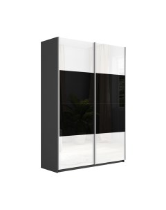 Шкаф-купе Траст СШК 2.160.80-15.15 2-х дверный Трия