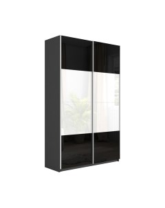 Шкаф-купе Траст СШК 2.120.60-15.15 2-х дверный Трия