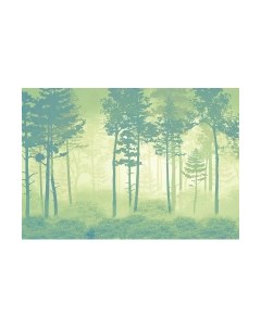 Фотообои листовые Citydecor Таинственный лес 11