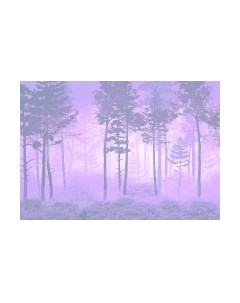 Фотообои листовые Citydecor Таинственный лес 13