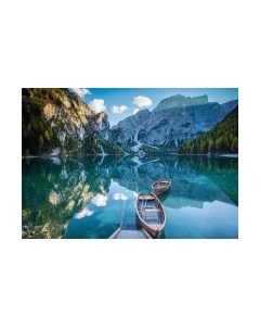 Фотообои листовые Citydecor Природа 95