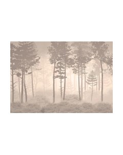Фотообои листовые Citydecor Таинственный лес 10
