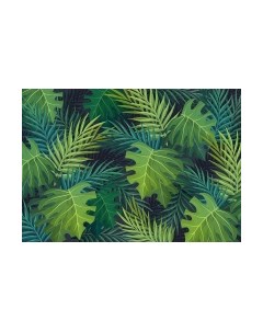 Фотообои листовые Citydecor Цветы и Растения 123